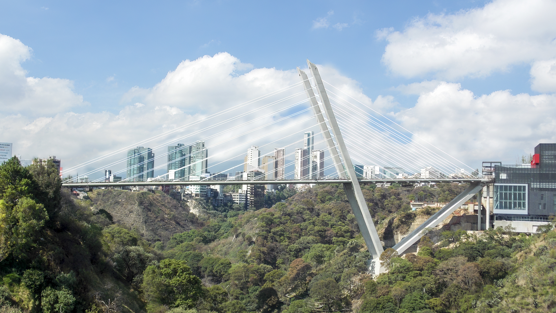 Puente Vidalta. Ciudad de México. México. 2013