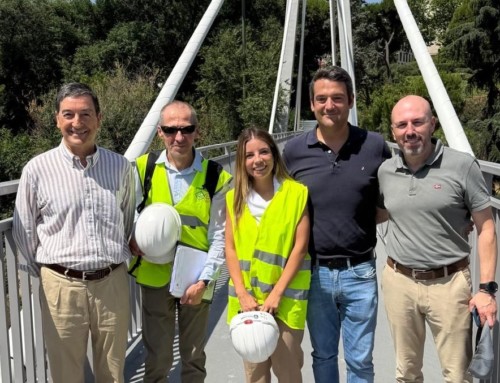 La pasarela atirantada de Marqués de Zafra premio Caminos Madrid a la investigación e Innovación 2025