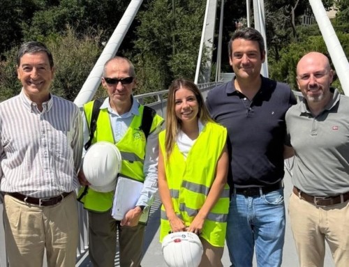 The cable-stayed footbridge of Marqués de Zafra wins the Caminos Madrid Award for Research and Innovation 2025
